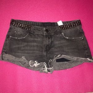 Zara Jean Shorts